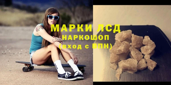 прущие грибы Елизово