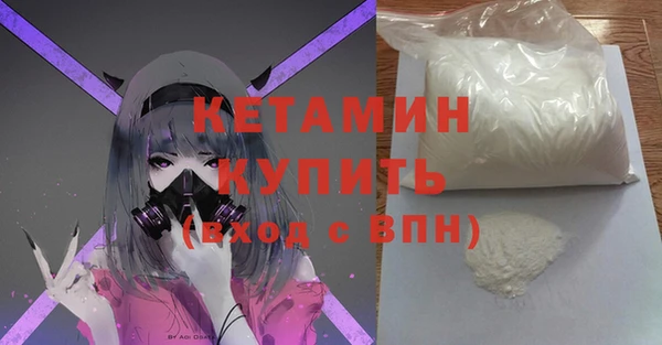 прущие грибы Елизово