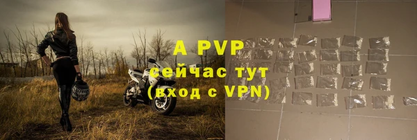 прущие грибы Елизово