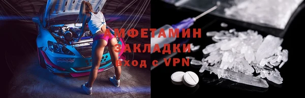 прущие грибы Елизово
