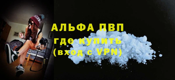 прущие грибы Елизово