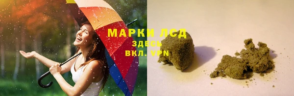 прущие грибы Елизово