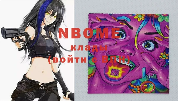 прущие грибы Елизово