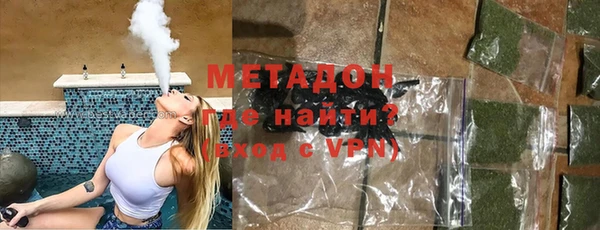 прущие грибы Елизово