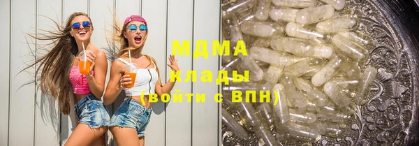 прущие грибы Елизово