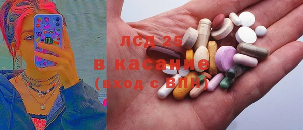 прущие грибы Елизово