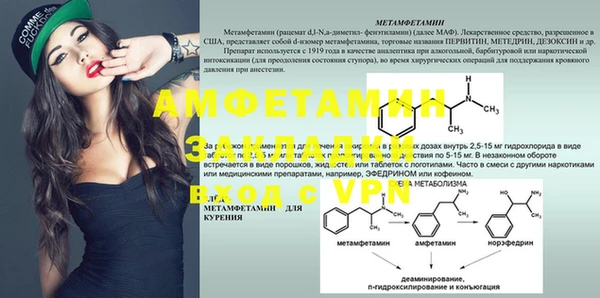 прущие грибы Елизово