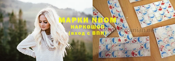 прущие грибы Елизово